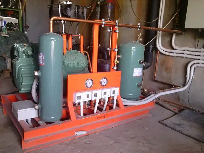 Шоковая заморозка ягод для ООО "Арти"