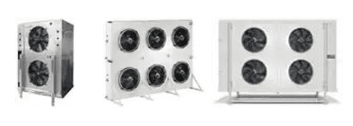 шокфростеры