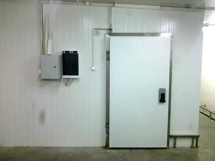 Шоковая заморозка ягод для ООО "Арти"