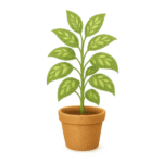 цветы и растения