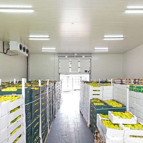 промышленные холодильные камеры для хранения овощей и фруктов