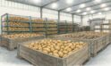 Условия хранения картофеля в овощехранилище
