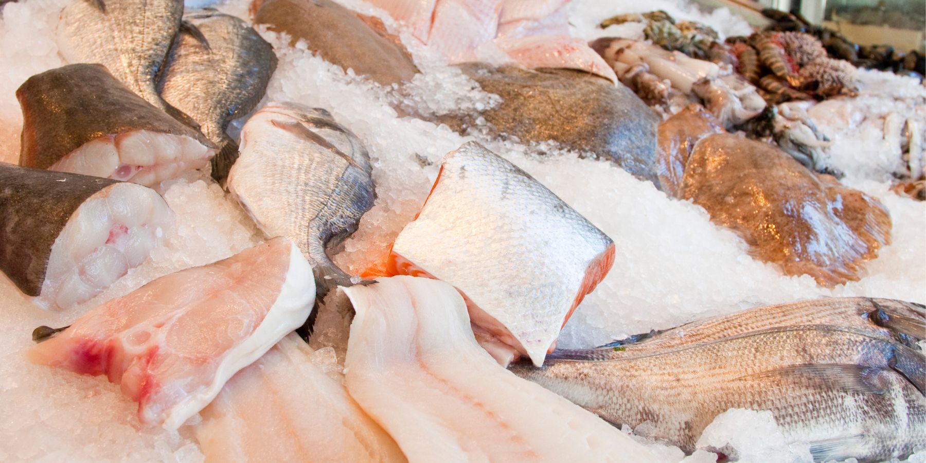 Генератор льда и его роль в производстве