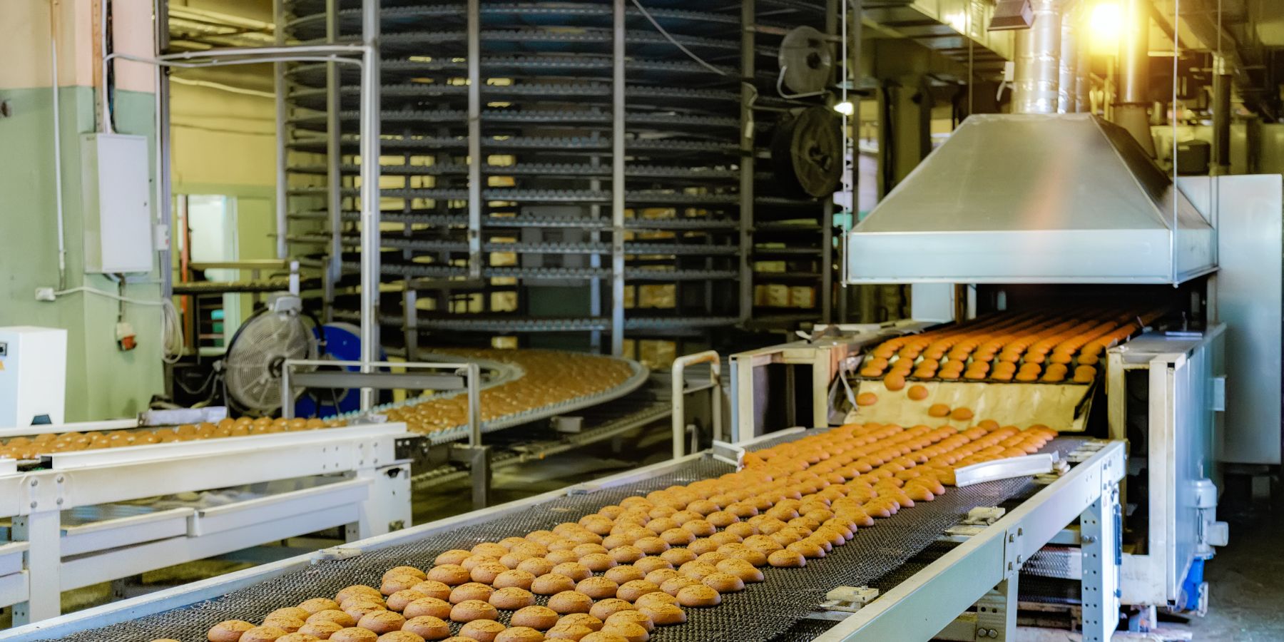 Кулер для охлаждения хлеба – спираль или конвейер?