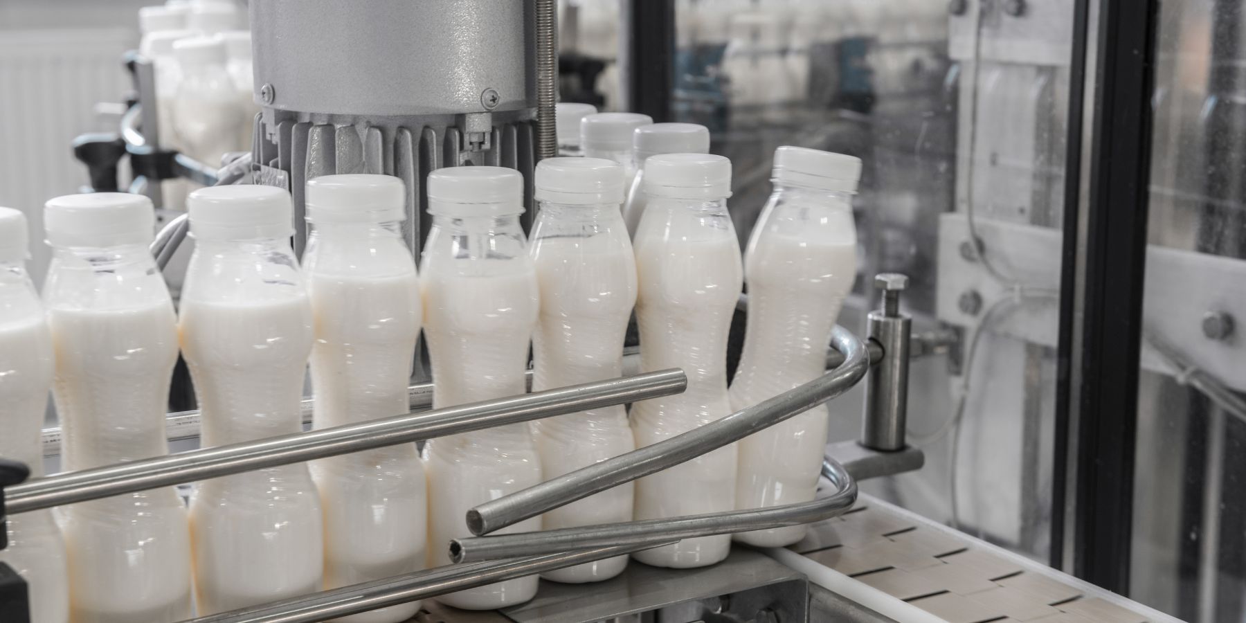На каких этапах производства нужны чиллеры для молока