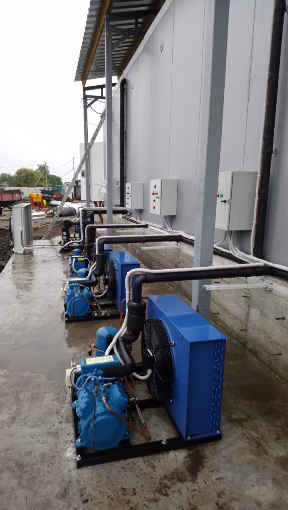 Система заморозки та зберігання ягід