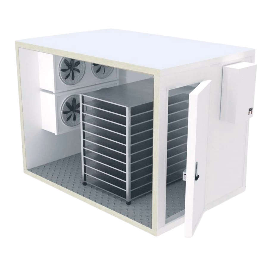 Камеры шоковой заморозки