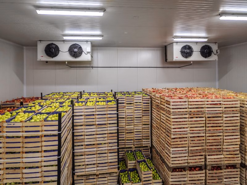 холодильные камеры хранения