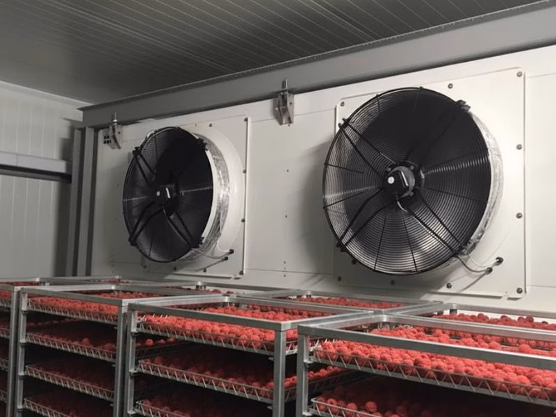 шоковая заморозка ягод в камере