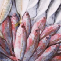 Зберігання та пакування м'яса, птиці та риби